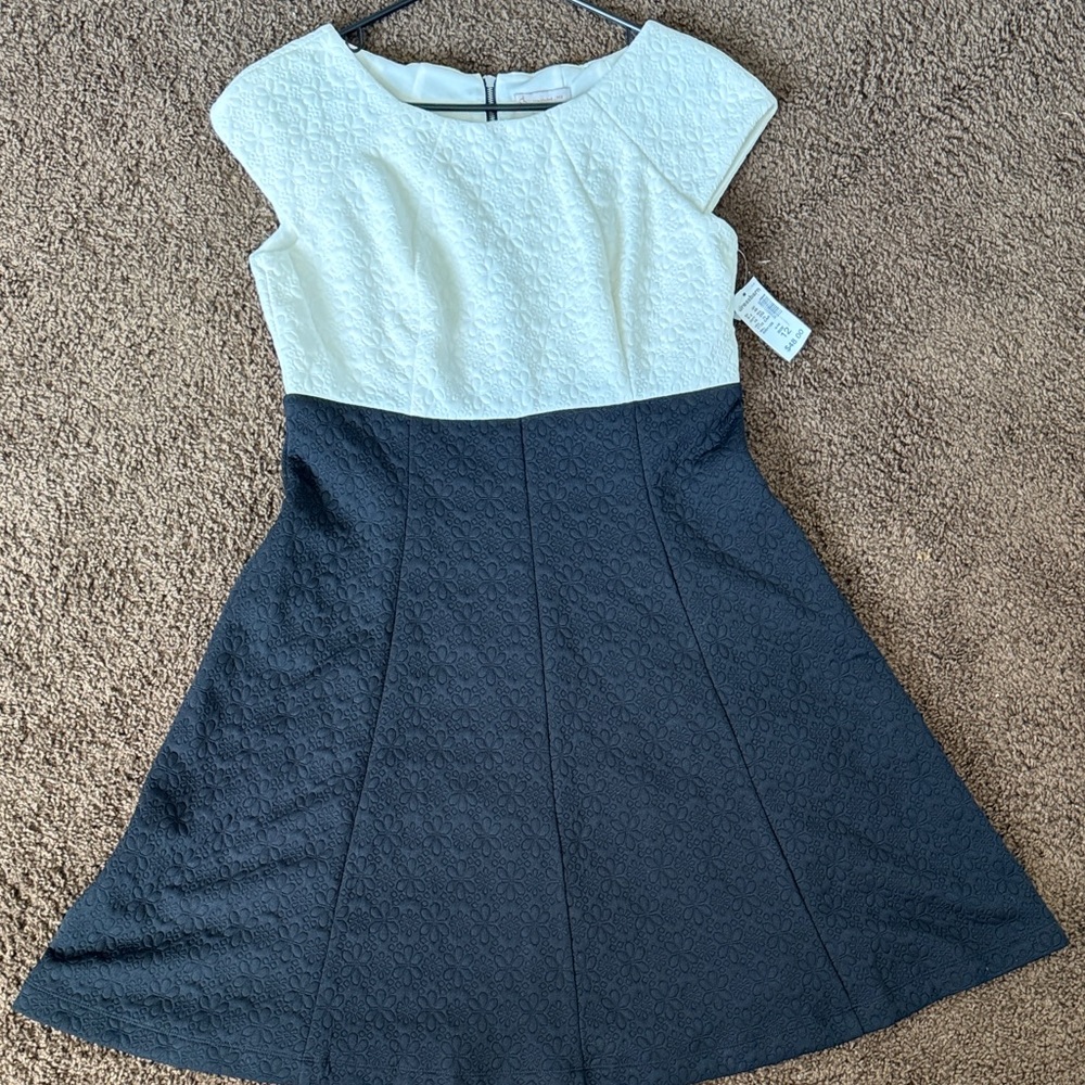 DressBarn Black and Cream Pleated Dress